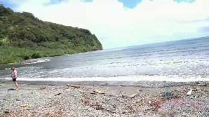 You take Kate out and explore the tropical island.