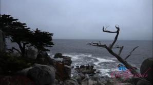 You explore NorCal with Paris.